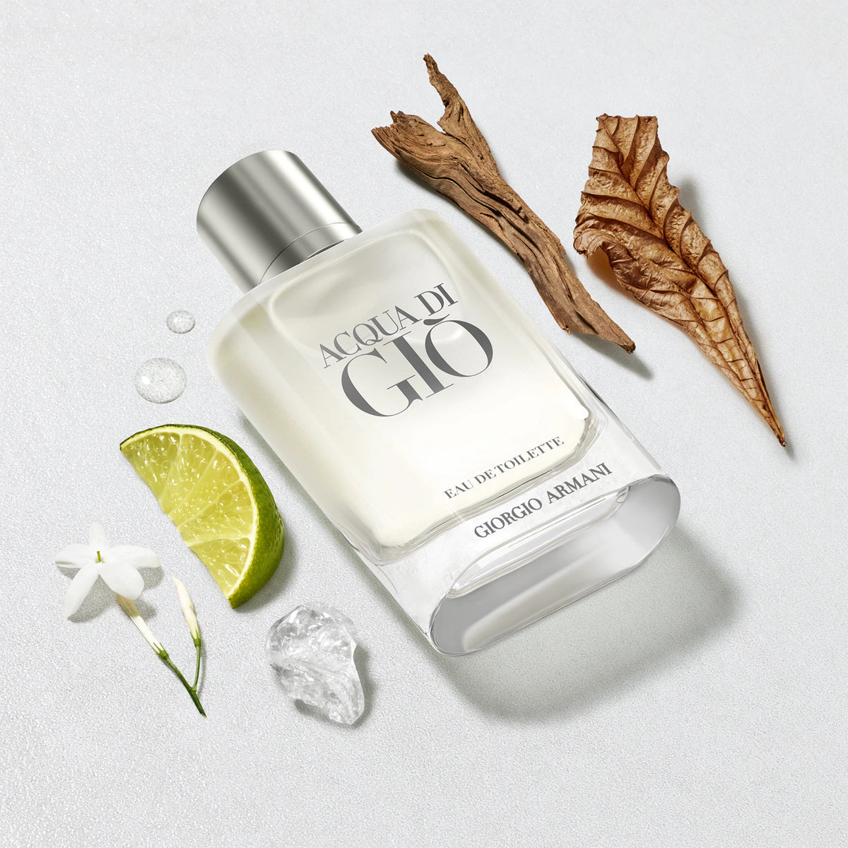 Armani Acqua di Giò Eau de Toilette 100ML