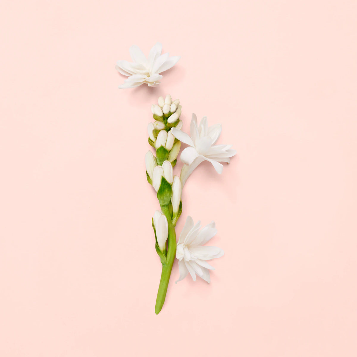 Gucci Bloom Eau de Parfum 100ML