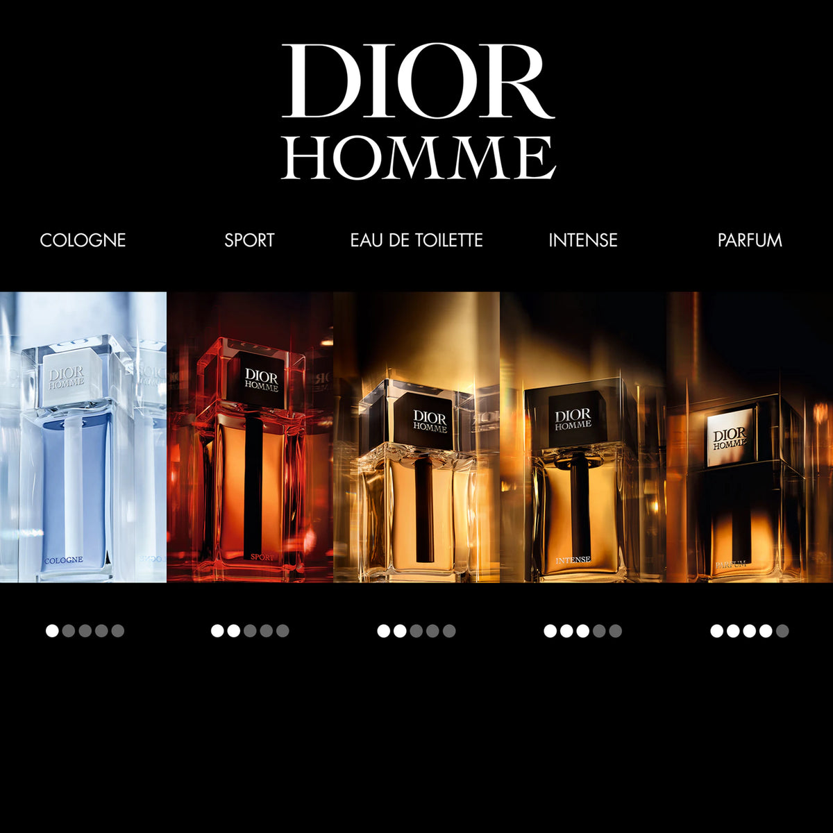 DIOR Dior Homme Intense Eau de Parfum 100ML