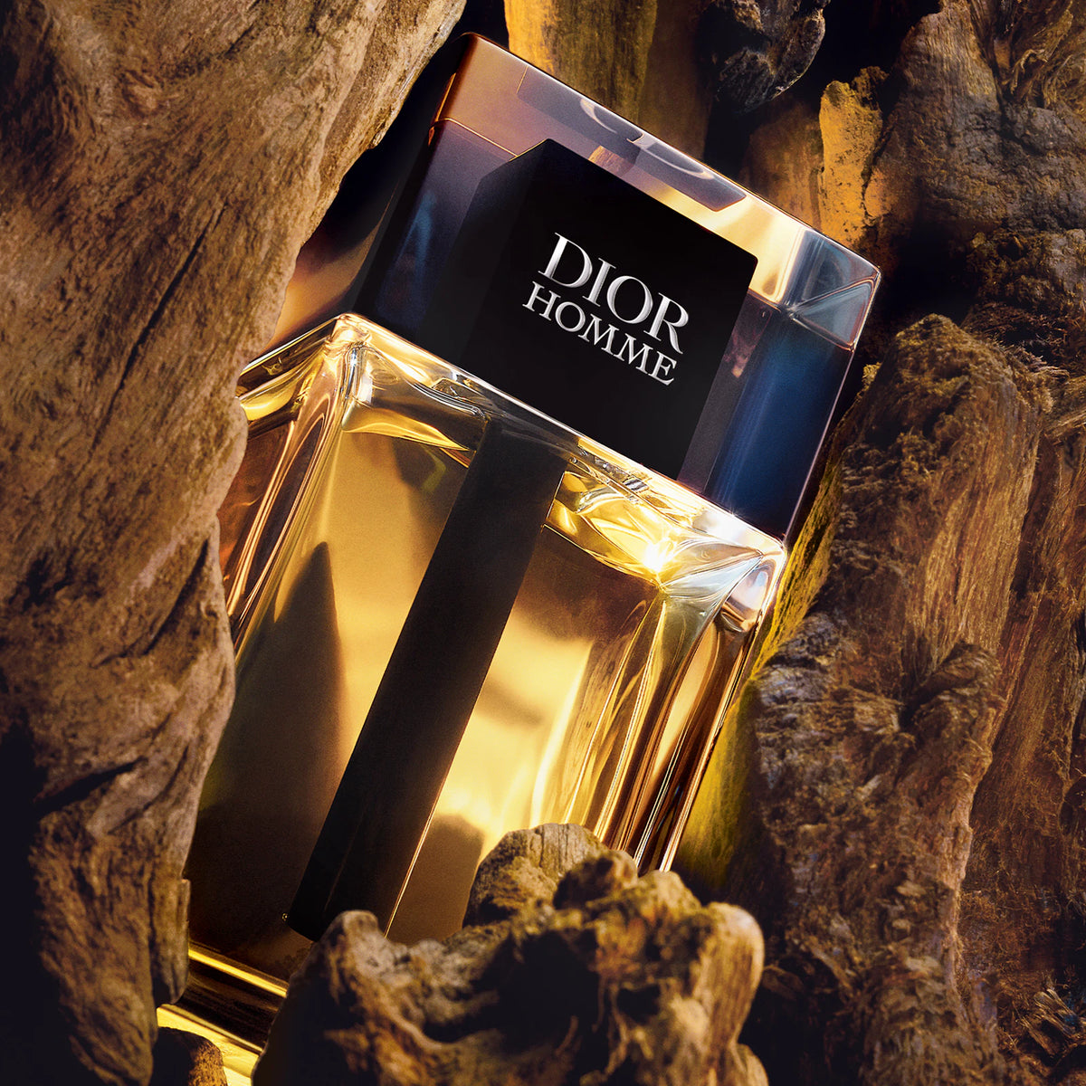 DIOR Dior Homme Eau de Toilette 100ML