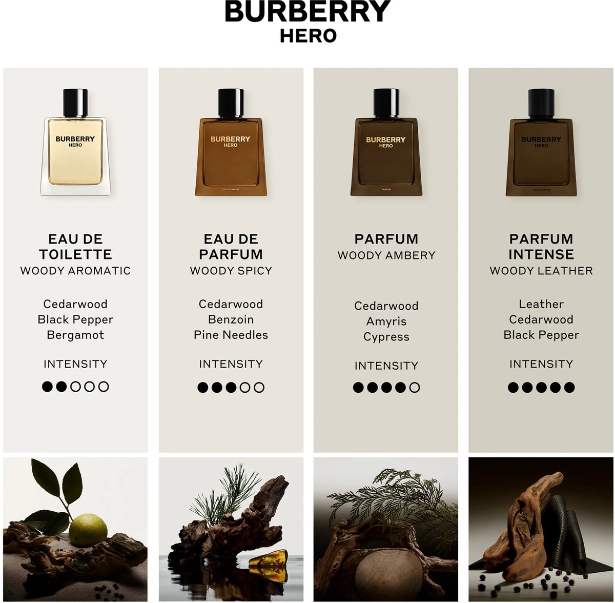 Burberry Hero Eau de Toilette 100ML
